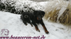 beauceron-net.de