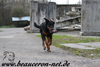 beauceron-net.de