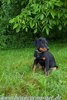 beauceron-net.de