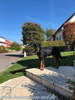 beauceron-net.de