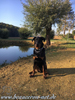 beauceron-net.de