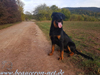 beauceron-net.de