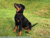 beauceron.net.de