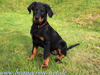 beauceron.net.de