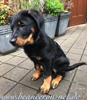 beauceron.net.de