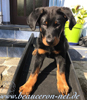 beauceron.net.de