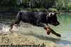 beauceron.net.de