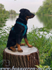 beauceron.net.de