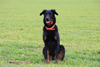 beauceron.net.de