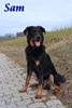 beauceron.net.de