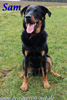 beauceron.net.de