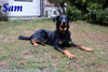 beauceron.net.de