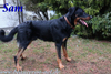 beauceron.net.de