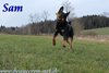 beauceron.net.de