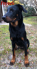 beauceron.net.de