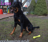 beauceron.net.de