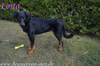 beauceron.net.de