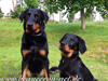 beauceron.net.de