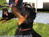 beauceron.net.de