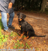 beauceron.net.de