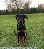 beauceron.net.de