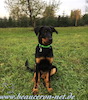 beauceron.net.de