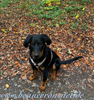 beauceron.net.de