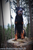 beauceron.net.de