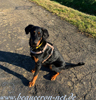 beauceron.net.de