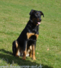 beauceron.net.de