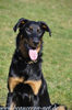 beauceron.net.de