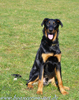 beauceron.net.de