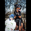 beauceron.net.de