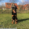 beauceron.net.de