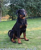 beauceron.net.de