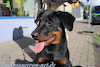 beauceron.net.de