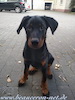 beauceron.net.de