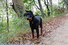 beauceron.net.de