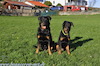 beauceron.net.de