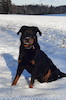 beauceron.net.de