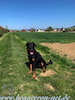 beauceron.net.de