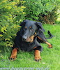 beauceron.net.de