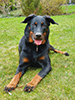 beauceron.net.de