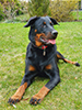 beauceron.net.de