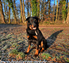 beauceron.net.de