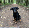 beauceron.net.de