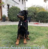 beauceron.net.de