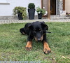 beauceron.net.de