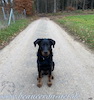 beauceron.net.de