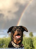 beauceron.net.de